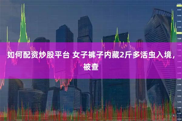 如何配资炒股平台 女子裤子内藏2斤多活虫入境，被查
