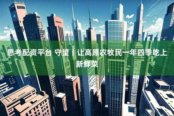 思考配资平台 守望｜让高原农牧民一年四季吃上新鲜菜