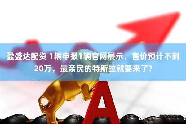 盈盛达配资 1辆申报1辆官网展示，售价预计不到20万，最亲民的特斯拉就要来了?