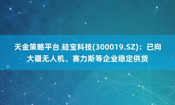天金策略平台 硅宝科技(300019.SZ)：已向大疆无人机、赛力斯等企业稳定供货